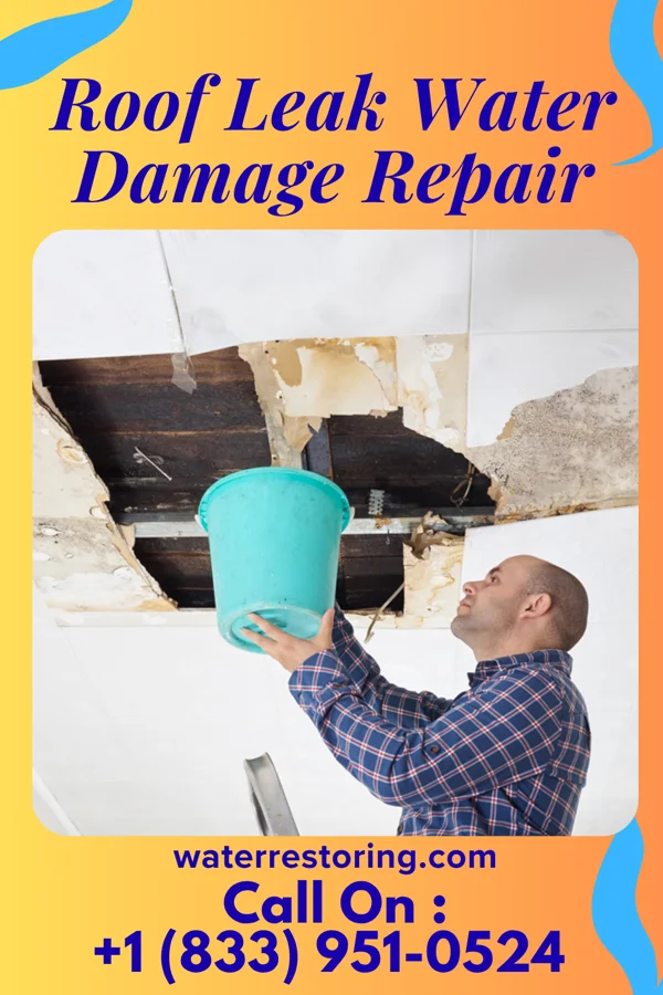 Roof Leak Water Damage Repair in Spring Valley Lake, CA